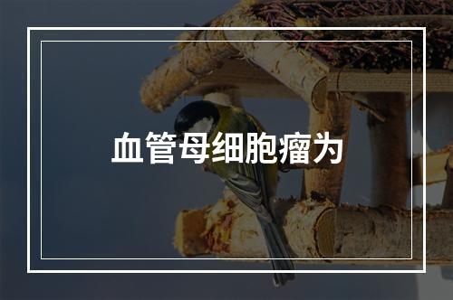 血管母细胞瘤为