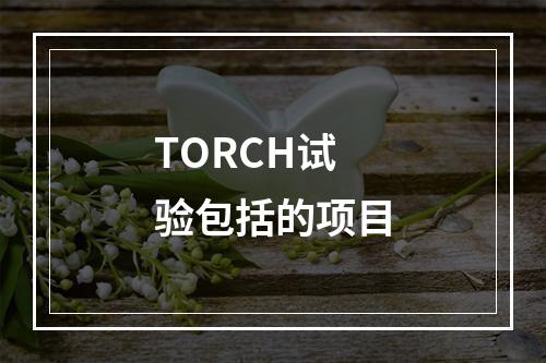 TORCH试验包括的项目