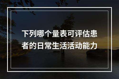 下列哪个量表可评估患者的日常生活活动能力