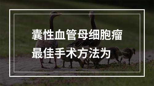 囊性血管母细胞瘤最佳手术方法为