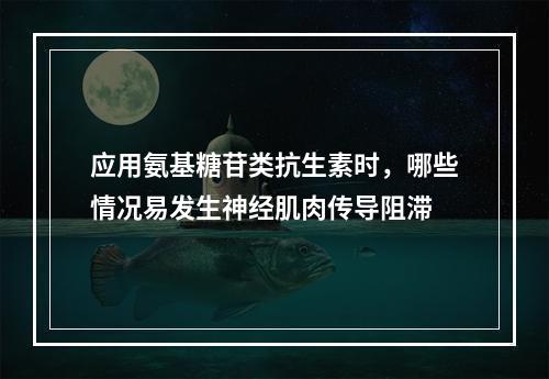 应用氨基糖苷类抗生素时，哪些情况易发生神经肌肉传导阻滞