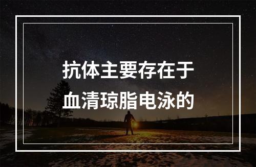 抗体主要存在于血清琼脂电泳的