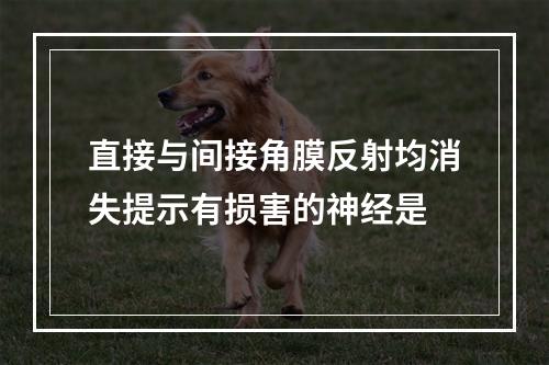 直接与间接角膜反射均消失提示有损害的神经是