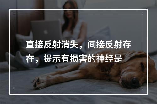 直接反射消失，间接反射存在，提示有损害的神经是