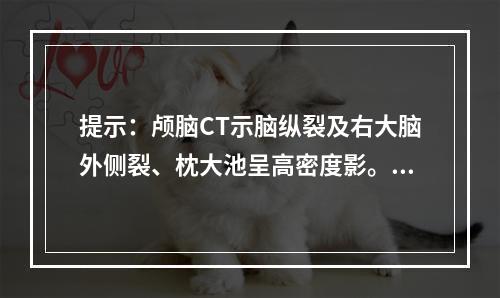 提示：颅脑CT示脑纵裂及右大脑外侧裂、枕大池呈高密度影。下一