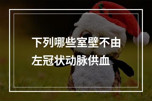 下列哪些室壁不由左冠状动脉供血