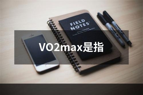 VO2max是指