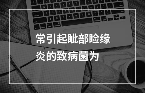 常引起眦部睑缘炎的致病菌为