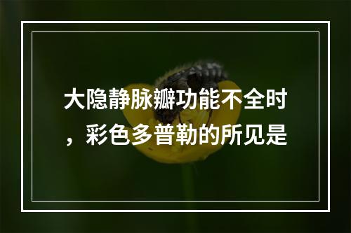 大隐静脉瓣功能不全时，彩色多普勒的所见是