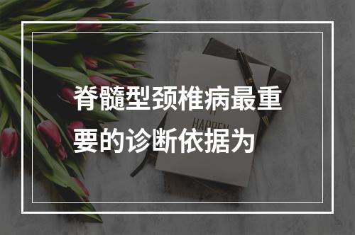 脊髓型颈椎病最重要的诊断依据为