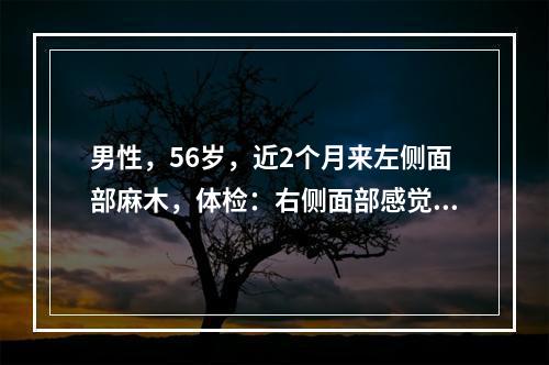 男性，56岁，近2个月来左侧面部麻木，体检：右侧面部感觉障碍