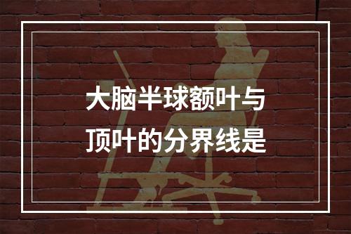 大脑半球额叶与顶叶的分界线是