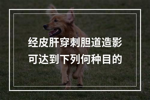 经皮肝穿刺胆道造影可达到下列何种目的