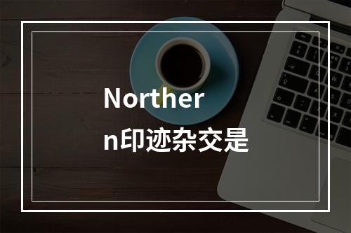 Northern印迹杂交是