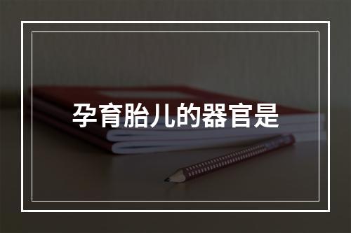 孕育胎儿的器官是