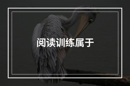 阅读训练属于