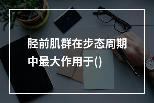 胫前肌群在步态周期中最大作用于()