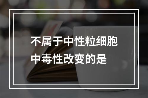 不属于中性粒细胞中毒性改变的是