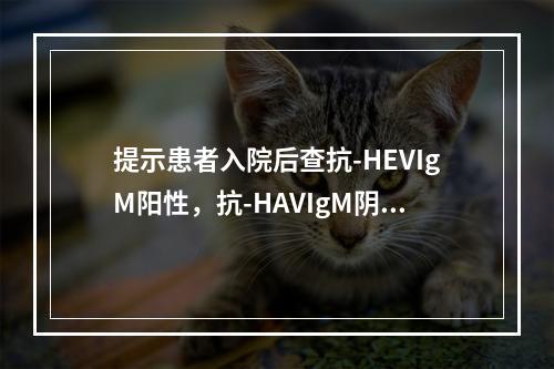 提示患者入院后查抗-HEVIgM阳性，抗-HAVIgM阴性，