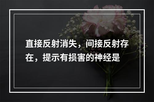 直接反射消失，间接反射存在，提示有损害的神经是