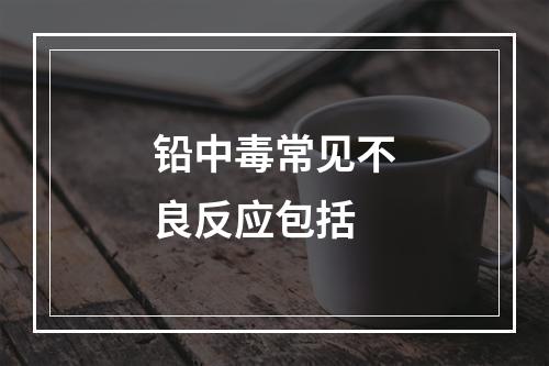 铅中毒常见不良反应包括