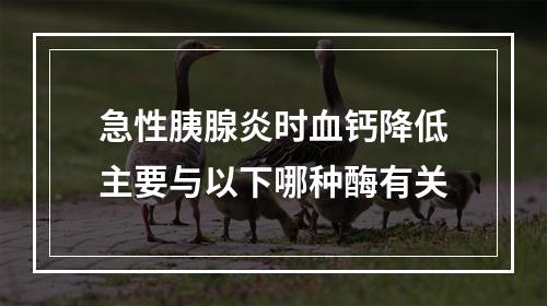 急性胰腺炎时血钙降低主要与以下哪种酶有关