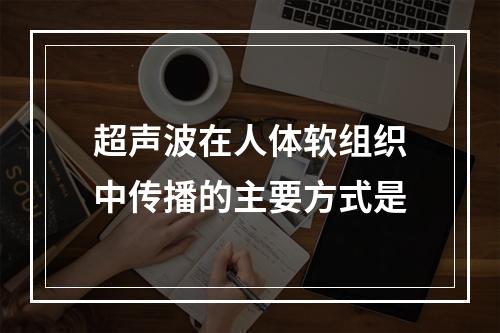 超声波在人体软组织中传播的主要方式是