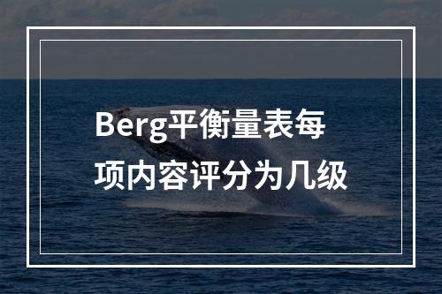 Berg平衡量表每项内容评分为几级