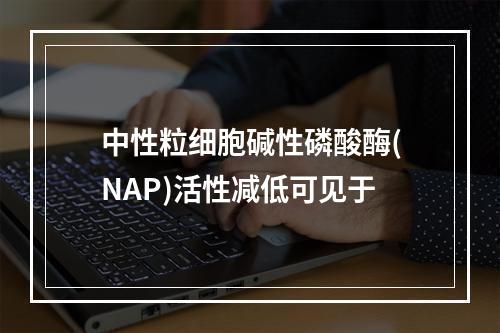 中性粒细胞碱性磷酸酶(NAP)活性减低可见于