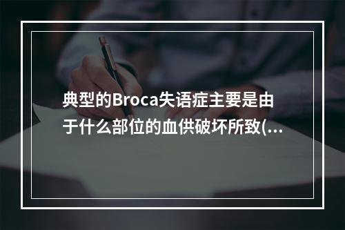 典型的Broca失语症主要是由于什么部位的血供破坏所致()