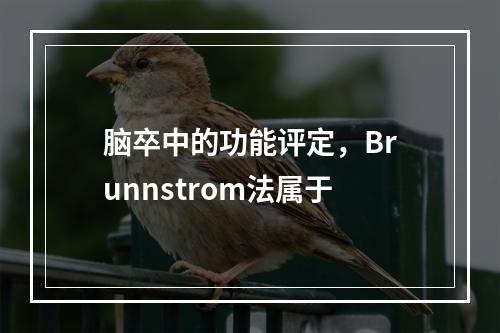 脑卒中的功能评定，Brunnstrom法属于