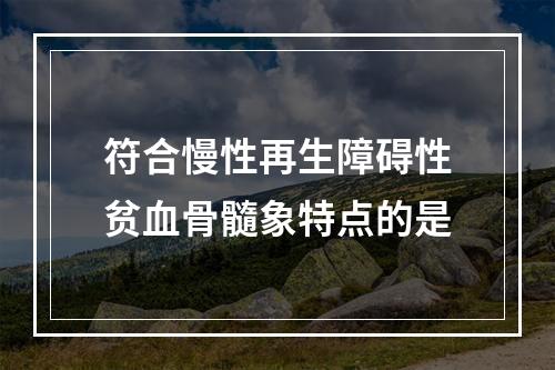 符合慢性再生障碍性贫血骨髓象特点的是