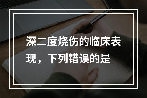 深二度烧伤的临床表现，下列错误的是