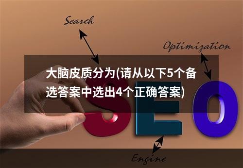 大脑皮质分为(请从以下5个备选答案中选出4个正确答案)