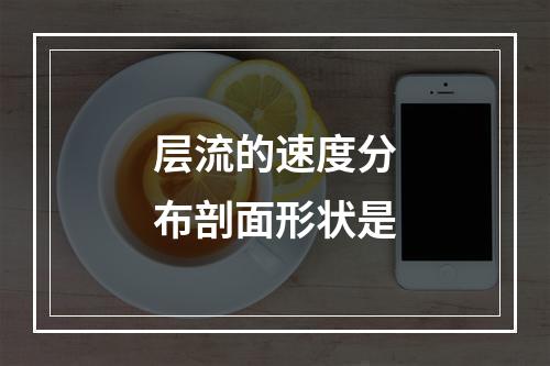 层流的速度分布剖面形状是