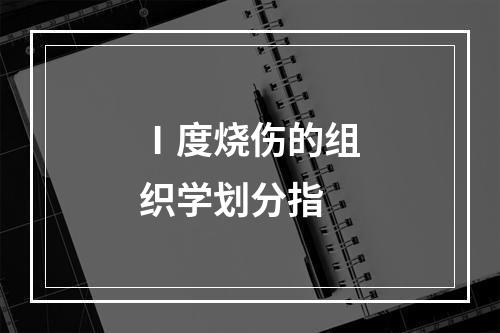 Ⅰ度烧伤的组织学划分指