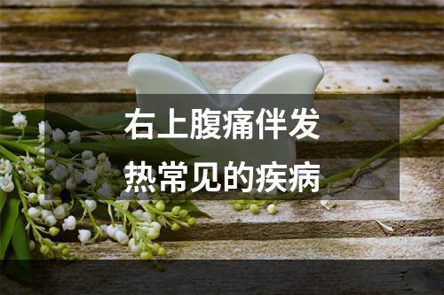 右上腹痛伴发热常见的疾病