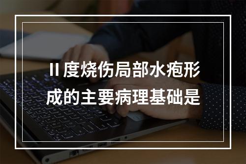 Ⅱ度烧伤局部水疱形成的主要病理基础是