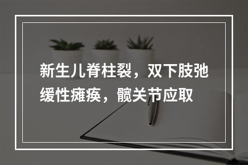 新生儿脊柱裂，双下肢弛缓性瘫痪，髋关节应取