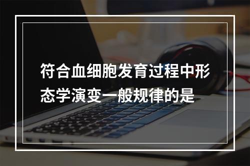 符合血细胞发育过程中形态学演变一般规律的是