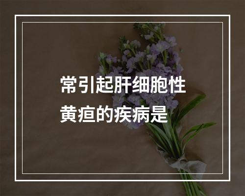 常引起肝细胞性黄疸的疾病是