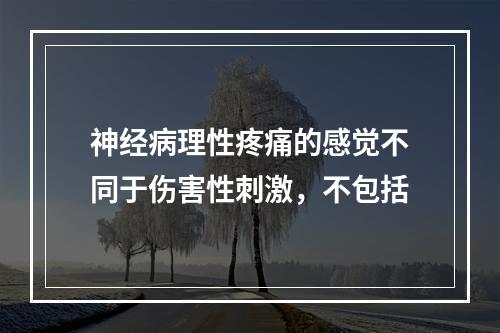 神经病理性疼痛的感觉不同于伤害性刺激，不包括