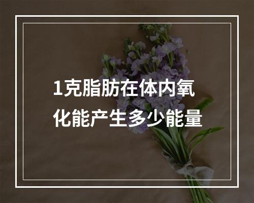 1克脂肪在体内氧化能产生多少能量