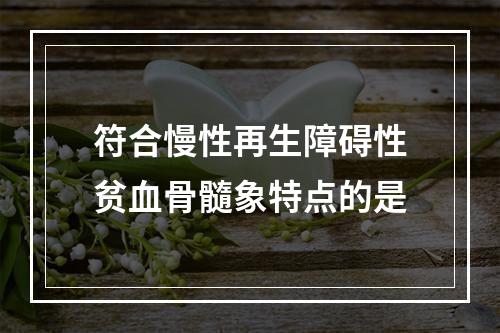 符合慢性再生障碍性贫血骨髓象特点的是