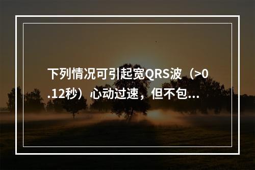 下列情况可引起宽QRS波（>0.12秒）心动过速，但不包括