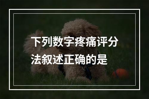 下列数字疼痛评分法叙述正确的是