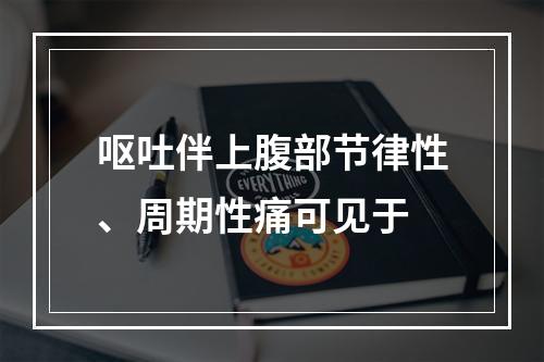 呕吐伴上腹部节律性、周期性痛可见于