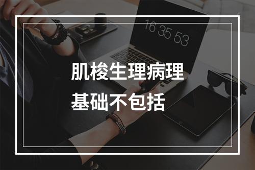 肌梭生理病理基础不包括