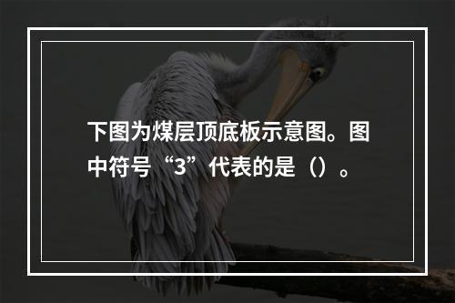 下图为煤层顶底板示意图。图中符号“3”代表的是（）。