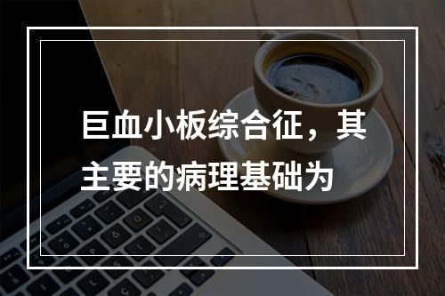 巨血小板综合征，其主要的病理基础为